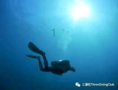 御龙在天